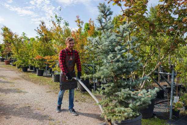 Seasonal Cleanup (Spring/Fall)